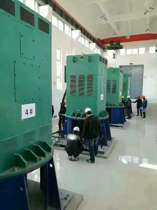 榕江某污水处理厂使用我厂的立式高压电机安装现场