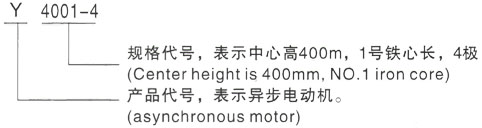 西安泰富西玛Y系列(H355-1000)高压榕江三相异步电机型号说明
